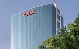Nhóm cổ phiếu Gelex bật dậy sau phiên giảm sàn, SSB tiếp tục tăng trần