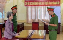 Bán đất 20 tỉ đồng nhưng chỉ khai 5 tỉ, cụ bà 79 tuổi bị khởi tố tội trốn thuế