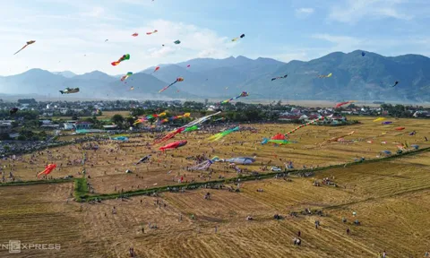 Diều 'hải sản' tung bay trên đồng lúa Khánh Hòa