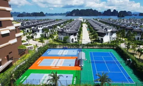 9 khu nghỉ dưỡng cho du khách yêu pickleball ở ba miền