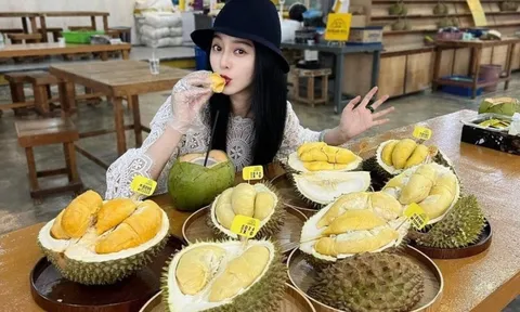 Rộ tour du lịch sầu riêng ở Đông Nam Á