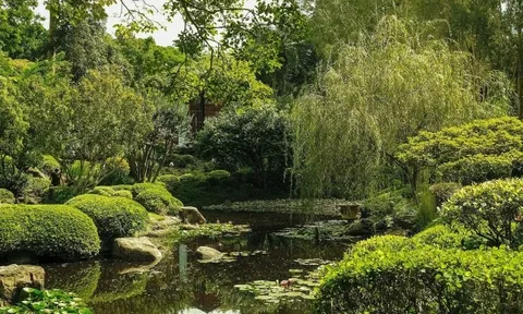 4 trải nghiệm nên thử khi du lịch trong ngày tại Brisbane
