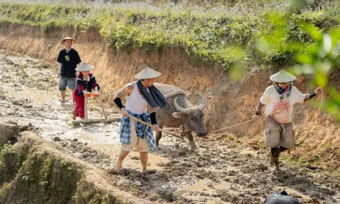 Bản nhỏ Lào Cai đông khách sau chương trình Gia Đình Haha