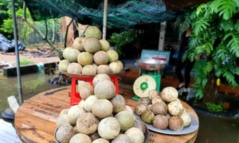 Những quả đặc sản phổ biến ở miền Tây, ra Bắc thành 'hàng hiếm'