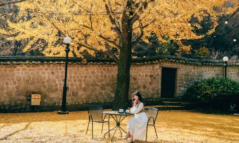 Chi tiết đến từng ngày lịch 'săn' lá mùa thu Nhật Bản, Trung Quốc