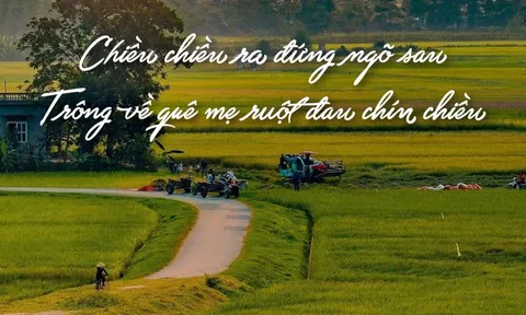 Tiếng Việt giàu đẹp: "Ruột đau chín chiều"