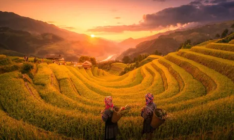 Cảnh đối lập sáng, chiều đẹp như tranh ở Mù Cang Chải
