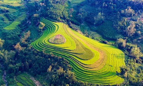 Cảnh ruộng bậc thang ấn tượng nhìn từ trên cao