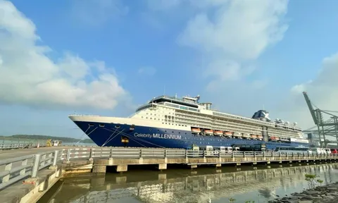 Doanh nghiệp "ngồi trên lửa" khi cảng ở TP HCM ngưng đón khách du lịch tàu biển