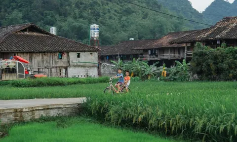 Những căn nhà cùng hướng tại làng du lịch tốt nhất thế giới ở Việt Nam