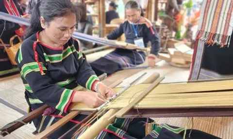 Tinh hoa di sản Việt hội tụ tại Văn Miếu - Quốc Tử Giám