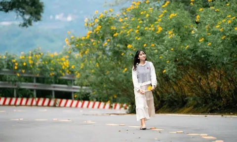 Đổ xô 'săn' ảnh dã quỳ phủ vàng sườn núi Ba Vì