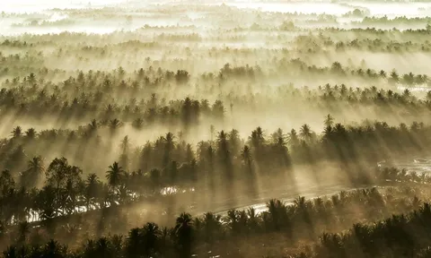 Cảnh bình minh gây sửng sốt tại Vĩnh Long