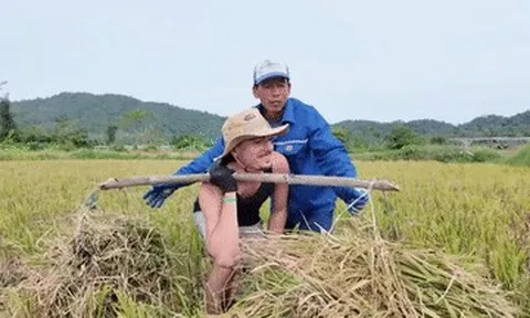 Khách Pháp sáng gánh lúa trĩu vai, chiều còng lưng cào ngao trên đảo Quảng Ninh