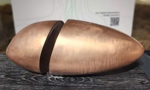 'Hạt gạo' của Lê Thiết Cương mở không gian đối thoại giữa khoa học và nghệ thuật