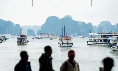 Đông nghịt khách tham quan vịnh Hạ Long