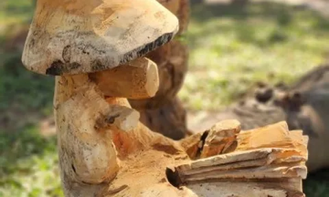 Ngắm ngựa đội nón, đọc sách ở Văn Miếu - Quốc Tử Giám