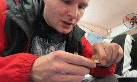 Khách Tây chi 300.000 đồng thử món chim ở vỉa hè Hà Nội, liên tục khen ngon