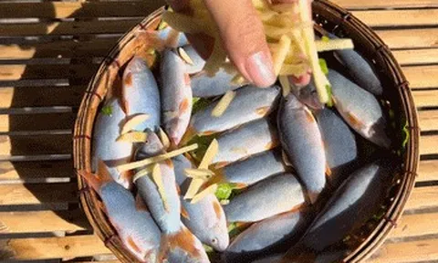 Sản vật miền Tây có tên gọi dễ nhầm lẫn, thịt béo chắc, giá đắt hơn cua