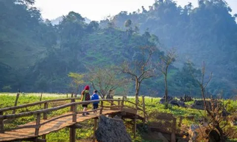 Địa điểm du lịch gần Hà Nội dịp tết Bính Ngọ 2026 đẹp mê ly, ít đông đúc