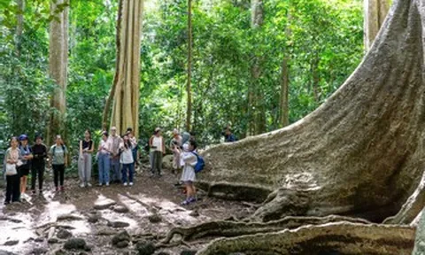 4 địa điểm du lịch gần TPHCM đẹp, nhiều trải nghiệm thú vị dịp tết Bính Ngọ 2026