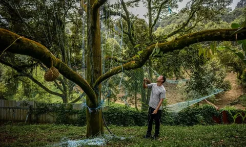 Du khách bị thách thức 'Anh có biết tôi là ai không?' tại Malaysia