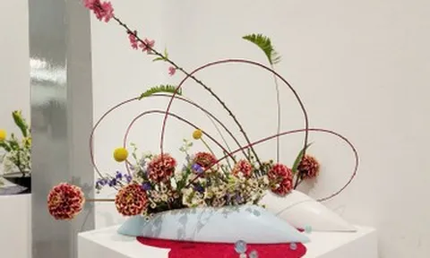 Chiêm ngưỡng các tác phẩm nghệ thuật hoa đạo