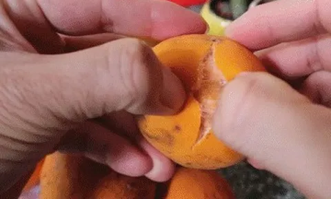 Sản vật miền Tây có múi giống mít, vị chua ngọt như măng cụt hút khách tìm mua