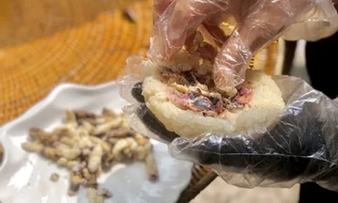 Đặc sản Điện Biên có món nhiều người ngại thử, có món được ví như 'thần dược'