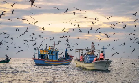 Nơi cá voi săn mồi ở Gia Lai sắp thành cảng du lịch