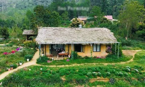 Bản làng xanh mát cách Hà Nội 250km, khách vượt xa đến hái rau, tự nấu cơm