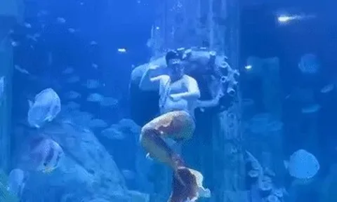 'Chàng tiên cá' hơn 100kg ở Nha Trang gây sốt với màn lắc bụng hài hước