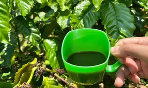 Cà phê rang củi - hương vị mộc mạc từ buôn làng