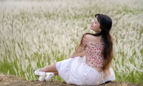 Vào mùa check-in, ngắm hoàng hôn tại cánh đồng cỏ lau TP.HCM