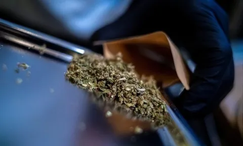 Hết thời 'cần sa tự do' tại Thái Lan