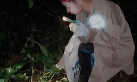 'Lộc trời' ở Lạng Sơn xuất hiện vào buổi tối, khách băng rừng, rọi đèn đi săn