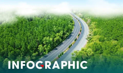 Những điều runner cần biết khi chạy 'xuyên rừng, chạm biển' ở Cần Giờ