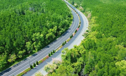 Ngắm pháo hoa, đón bình minh trên biển, chạy xuyên rừng dịp 30/4