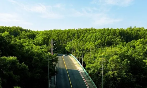 Sức hút giúp giải chạy 'xuyên rừng - chạm biển' bán hết vé sau 12 ngày