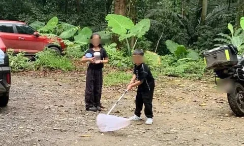 Khách mang vợt bắt bướm, cất vào hộp tại VQG Cúc Phương