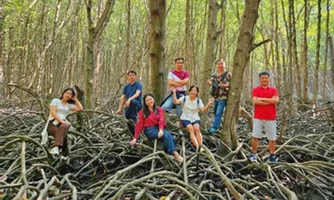 5 địa điểm tránh nóng gần TPHCM cho khách 'lười đi xa' dịp nghỉ lễ 30/4 -1/5