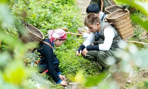 Lễ 30/4 đi đâu nếu sợ 'biển người'?