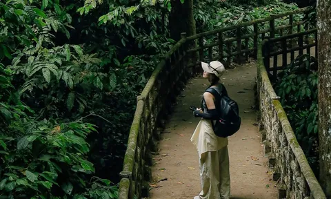 Điều bị 'bỏ quên' tại VQG Cúc Phương