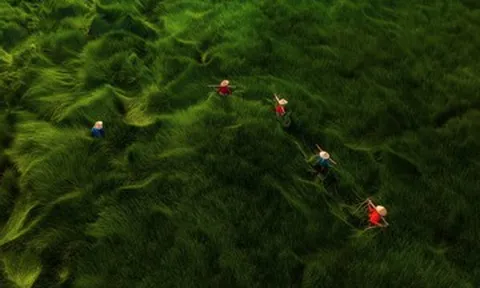 Việt Nam khẳng định vị thế trên bản đồ nhiếp ảnh quốc tế