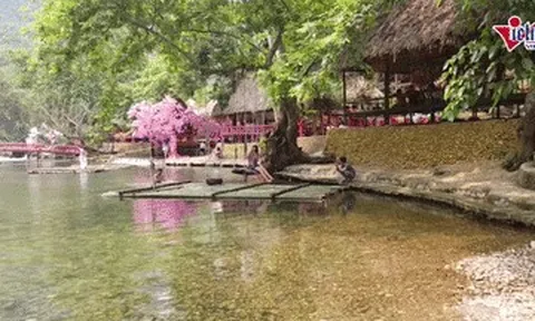 Suối 'ẩn mình' giữa núi rừng Thanh Hóa: Nước trong thấy đáy, hút khách check-in