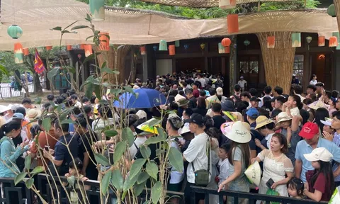 Khách 'chật như nêm' ở Tràng An