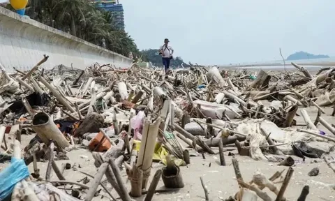 Tin mới cảnh tượng 'kinh hoàng' ở bãi biển nổi tiếng Thanh Hóa