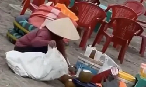Đình chỉ người 'gom nước dừa thừa bán lại cho khách' ở Ninh Bình