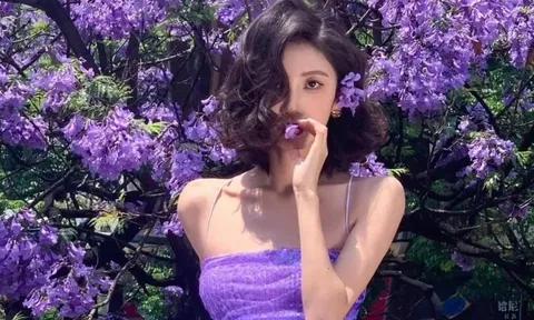 Côn Minh 'đau đầu' vì mùa phượng tím
