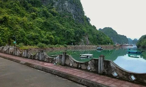Khách Tây mê mẩn ngôi làng trăm tuổi không ô tô, xe máy ở Hải Phòng